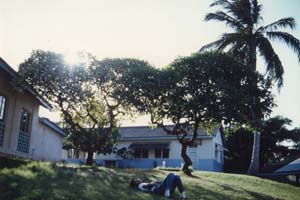 ���g��In Africa